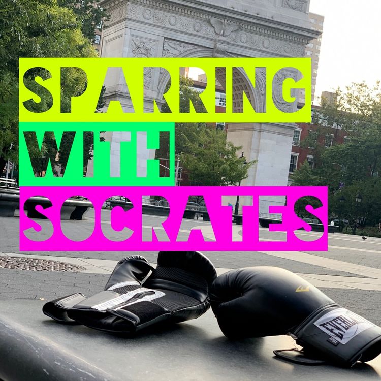 Sparing With Socrates