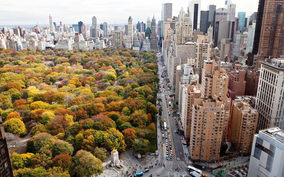 A view overlooking Central Park in the autumn from a high apartment balcony
